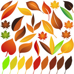 Autumn leaves set