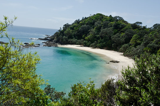 Whale bay in New Zealand