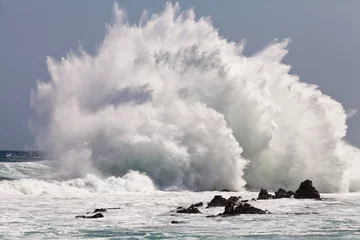 Foto op Canvas High wave breaking on the rocks © pwollinga