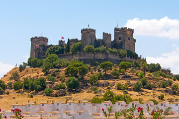 Castle on a sunny hill, Andalusia, Spain © Naj