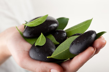 stones on a hand