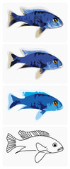 fish-blue-ahli