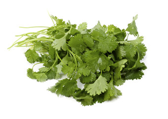 Fresh organic raw coriander leaf isolated on white background. C