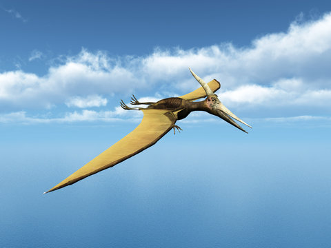 Ozeansegler Pteranodon Ingens