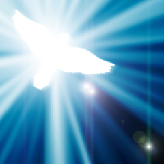 glowing dove on a blue background
