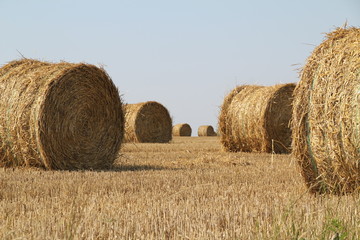 ballots paille moisson