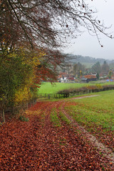 Naklejka premium Late Autumn on an English Rural track
