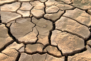 Cracked lifeless soil