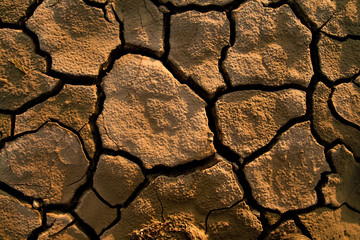 Cracked lifeless soil