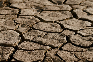 Cracked lifeless soil