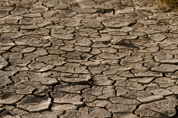 Cracked lifeless soil