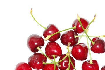sweet cherry