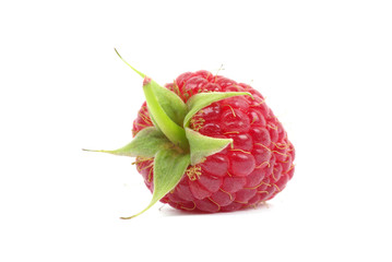 raspberry