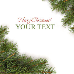 Christmas border - Xmas tree branch isolated