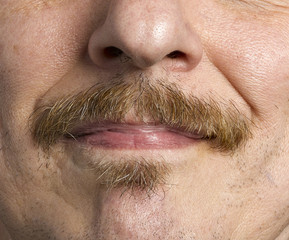 MOUSTACHE CLOSEUP