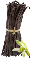 fleur de vanille  et gousses de vanille Bourbon