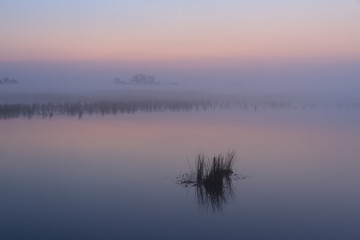 Wetland