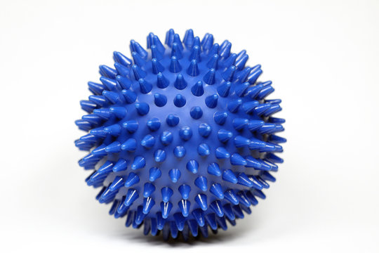 Igelball,hedgehog