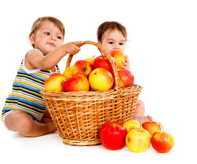 Fototapeta premium Apple basket
