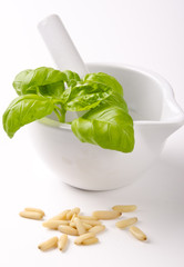 Pesto Zutaten und Mörser