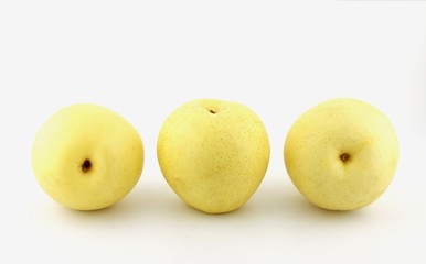 chinese white pears