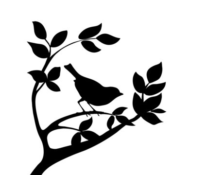 silhouette bird on tree