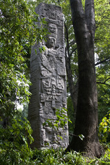 Fototapeta na wymiar maya