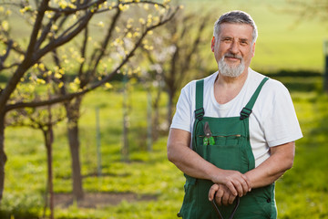 Obraz premium portrait of a senior man gardening in his garden