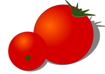 Tomaten