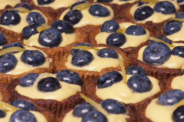 Cake with fresh bilberries