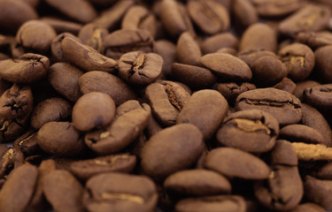 Close-up of roasted coffee beans