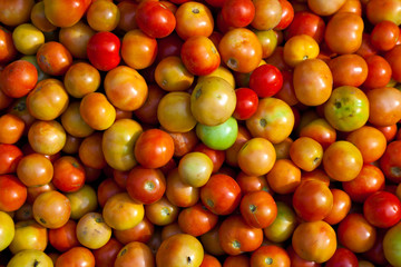 tomatoes at the market