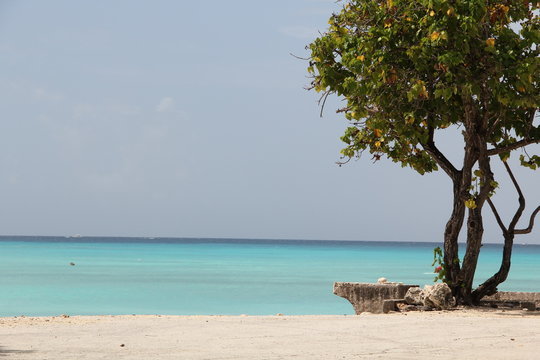 BARBADOS
