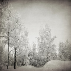 grungy winter landscape