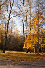 Botanical garden