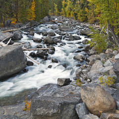 Fall colors by mountain stream