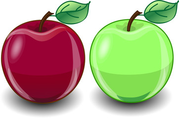 Красное и зеленое яблоко, вектор