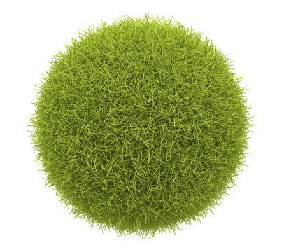 Abstract  green sphere of grass 3D. Environment concept. Isolate