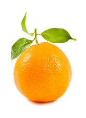 Fototapeta na wymiar Tangerine with leaves