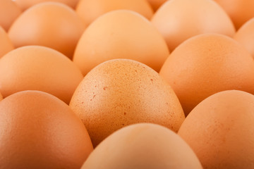 Brown eggs