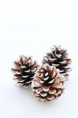 three pine cones