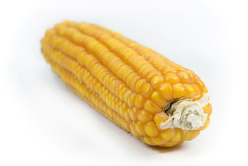 Corn