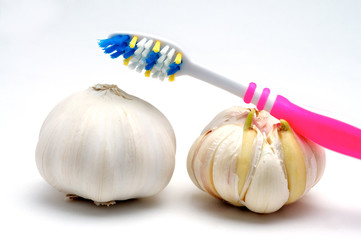Garlic