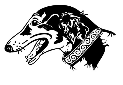 Barsoi  Windhund