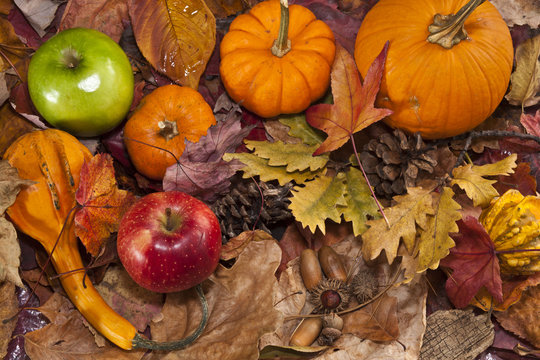 Autumn background