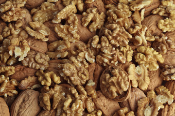 Walnut kernel.