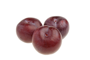 Susine