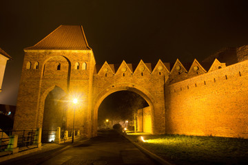 Night scene with Teutonic castle in Toruń,Poland