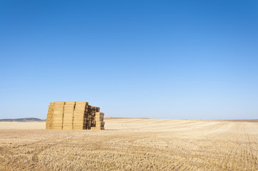 Pacas de cebada