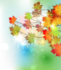 Fototapeten autumn background © blina